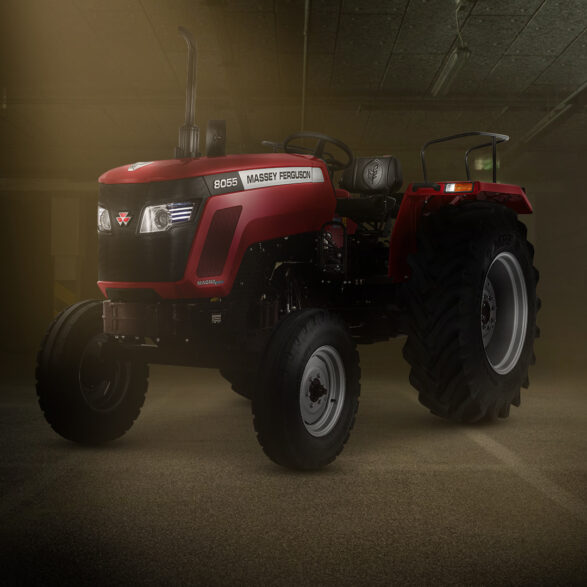 Massey power beauty soul